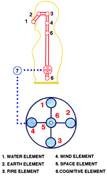 The 7 positions of the sphere on its way to the center of the body.